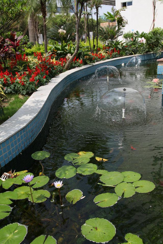 2121�Ƿ���(�й���)�����ٷ���վ